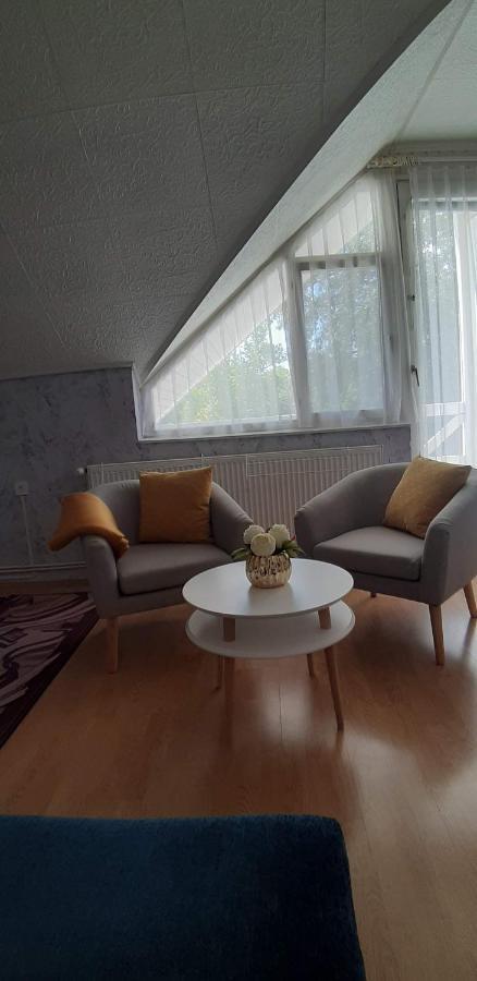 Lila Haz Apartment Harkany Bagian luar foto