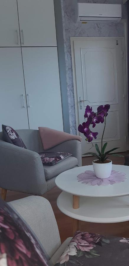 Lila Haz Apartment Harkany Bagian luar foto