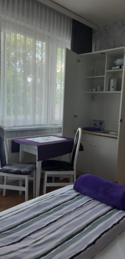 Lila Haz Apartment Harkany Bagian luar foto
